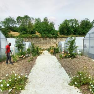 Balade paysagère au parc du Glacis et Francs-Moisins   - spéciale JOP