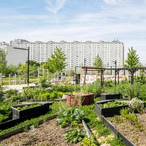 Un Parc urbain pour le Nord Est Parisien, balade du Rosa Lab