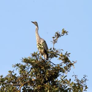 Enquête Animal Mystère au parc de la Poudrerie