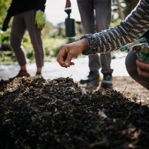 Atelier de réalisation de tisane écologique à la place François de Larderel