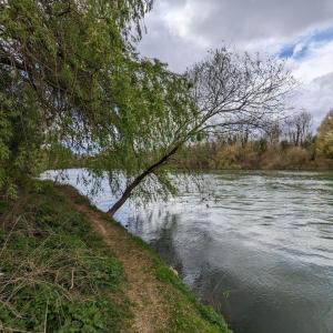 Rando Paddle sur la Marne au départ du port de plaisance de Neuilly sur Marne