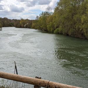 Rando Paddle sur la Marne au départ du port de plaisance de Neuilly sur Marne