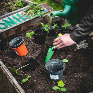 Atelier : Tous·tes au Potager au Jardin21