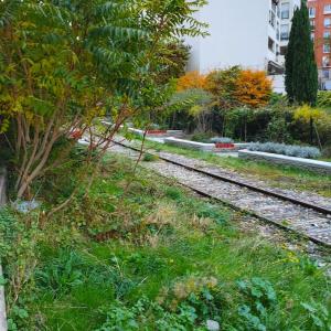 Randonnée Découverte dans le 17e Arrondissement de Paris