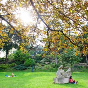 La biodiversité du quartier du parc Montsouris et les écogestes pour un sport responsable