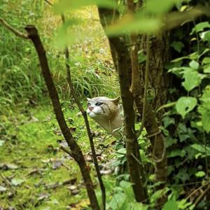 Atelier : Sur les traces des chasseurs cueilleurs du Mésolithique, à l’Archéosite de la Haute-Île