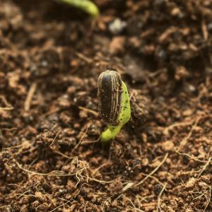 Atelier : Créer une Jardinière de Récup’ au Jardin 21