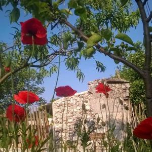 Balade Patrimoine et biodiversité des Murs à Pêches