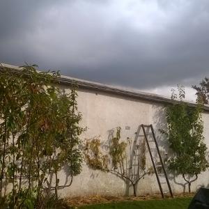 Balade Patrimoine et biodiversité des Murs à Pêches