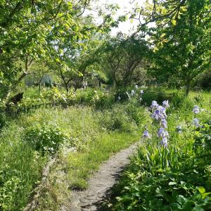 Balade Patrimoine et biodiversité des Murs à Pêches