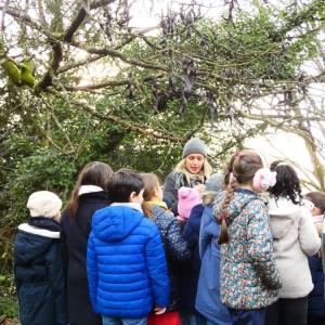 À la découverte du parc en famille à la MABA - Journées Européennes du Patrimoine