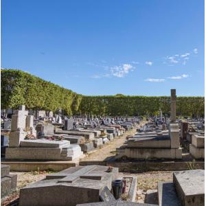 Cimetière PIERRE GRENIER : QUAND L’HISTOIRE ÉCLAIRE LE PRÉSENT