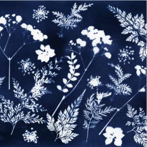 Atelier créatif cyanotype au Jardin 21