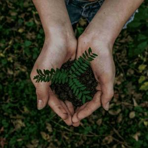 Atelier Jardinage : Bombes à Graines au Jardin 21