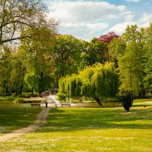 Conférence autour du territoire de Livry au Moyen-Âge - Journées du patrimoine