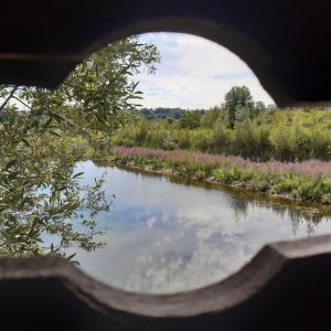 Course d’orientation patrimoniale au parc de la Haute-Île - Journées du patrimoine