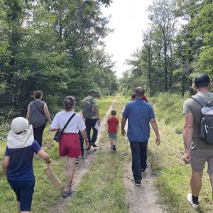 Balade « nez au vent » en forêt avec l’ONF