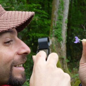 Enquête botanique en forêt