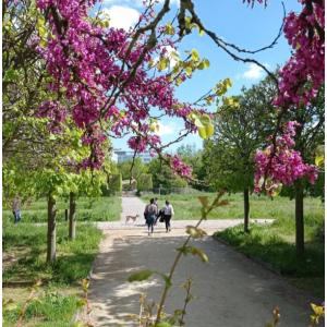 Parc de l'île Saint-Germain © Issy Tourisme International – D. Printemps