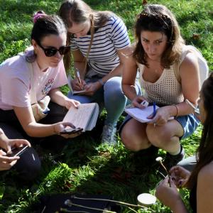 Baptême « cueillette de plantes sauvages »