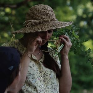 Baptême « cueillette de plantes sauvages »