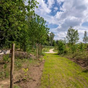 Le bois de Charonne, la 2e forêt urbaine de Paris situé sur les abords de la petite ceinture