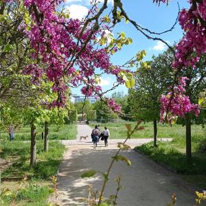 Jardins Clos © Issy Tourisme International – D. Printemps