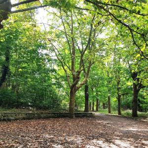 Visite gourmande au Parc de la République de Pantin