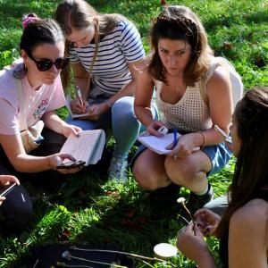 Baptême « cueillette de plantes sauvages » dans les Hauts-de-Seine