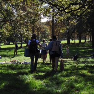 Baptême « cueillette de plantes sauvages » dans les Hauts-de-Seine