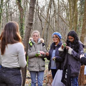 Baptême « cueillette de plantes sauvages » dans les Hauts-de-Seine