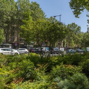 Quand la rue de la Chapelle devient une promenade plantée