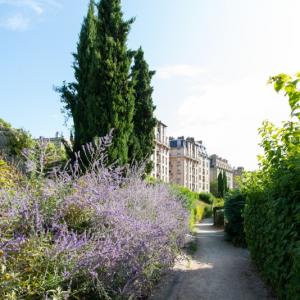 Promenade bioclimatique dans le nord du 17ème arrondissement