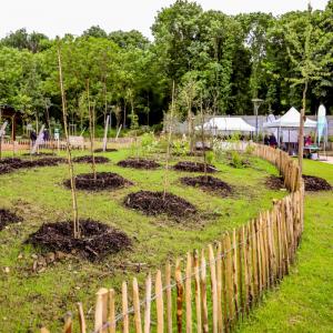 Plantation citoyenne sur la Végétale