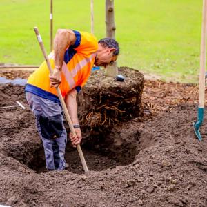 Plantation citoyenne sur la Végétale