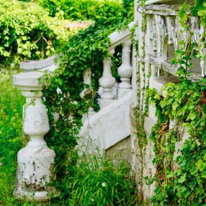 Urbex à Noisy-Le-Grand, vestiges silencieux