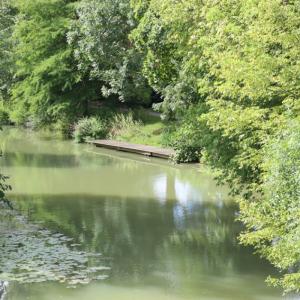 Des jardins partagés aux maisons cossues des bords de Marne