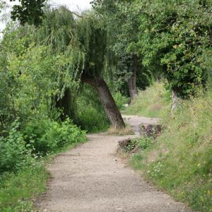 Des jardins partagés aux maisons cossues des bords de Marne