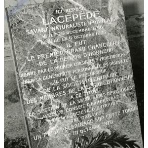 Nature et culture au cimetière d'Épinay-sur-Seine