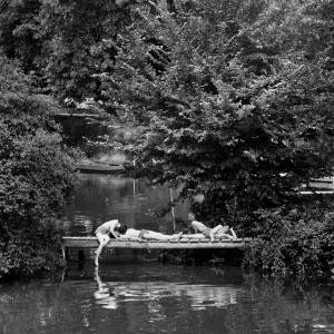 Conférence et visite de l'exposition "WILLY RONIS La Banlieue Est sous l’œil du maître" à Nogent-sur-Marne