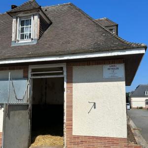 Le quotidien du cheval de course au domaine de Grosbois