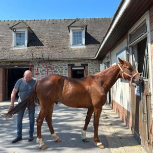 Le quotidien du cheval de course au domaine de Grosbois