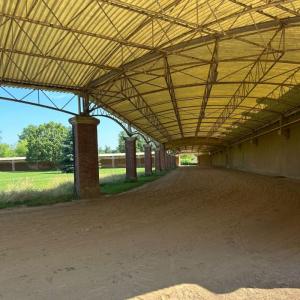 Le quotidien du cheval de course au domaine de Grosbois