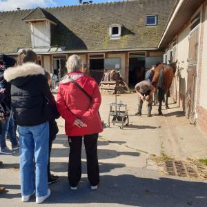 Le quotidien du cheval de course au domaine de Grosbois