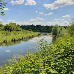 Mystères de la faune sauvage du Parc de la Haute-Île
