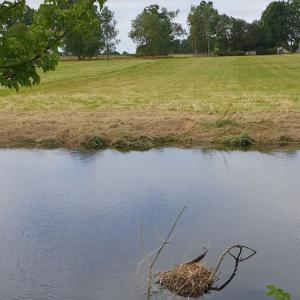 Nature, cheval et animaux au domaine de Grosbois