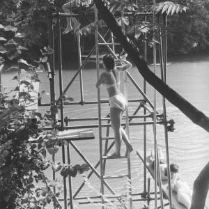 Conférence et visite guidée à Nogent-sur-Marne, Willy RONIS : sa carrière, sa donation