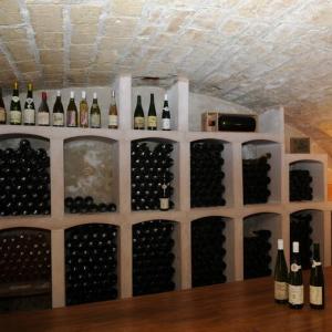 Découverte des vignes de Courbevoie