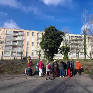 Promenades à déguster, cueillettes de plantes sauvages