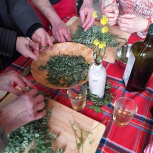 Promenades à déguster, cueillettes de plantes sauvages